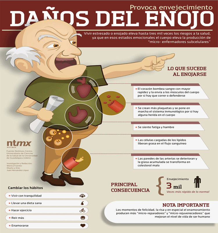 3 da&ntilde;os-del-enojo_mini